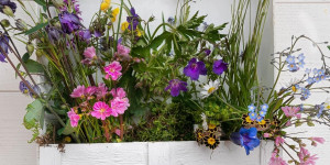 Beitragsbild des Blogbeitrags Blumenkistchen aus Obststeigen basteln - DIY Gartendeko 