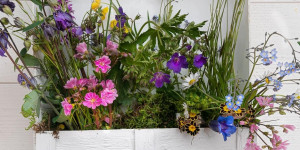 Beitragsbild des Blogbeitrags Blumenkistchen aus Obststeigen basteln - DIY Gartendeko