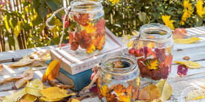 Beitragsbild des Blogbeitrags Wie du aus Marmeladengläsern wunderschöne Blätter-Windlichter bastelst 