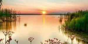 Beitragsbild des Blogbeitrags Entdecke die erstaunliche Welt der Diamantmalerei!