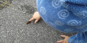 Beitragsbild des Blogbeitrags Die artgerechte Kinderbetreuung