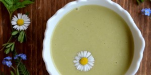 Beitragsbild des Blogbeitrags Frühlingsfieber