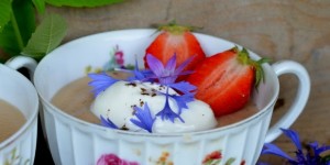 Beitragsbild des Blogbeitrags Rhababs, mein Schatz!
