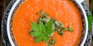 Beitragsbild des Blogbeitrags Influencer-Influenza