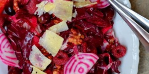Beitragsbild des Blogbeitrags Blood? Oh, gosh no!