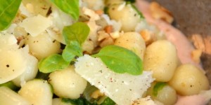 Beitragsbild des Blogbeitrags Besorgt euch Antifel!