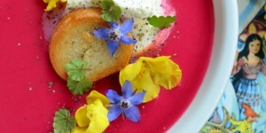 Beitragsbild des Blogbeitrags Drachenmutter