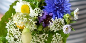 Beitragsbild des Blogbeitrags Der Sommer ist da