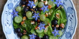 Beitragsbild des Blogbeitrags Sommerfrische