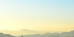 Beitragsbild des Blogbeitrags Happy new year!