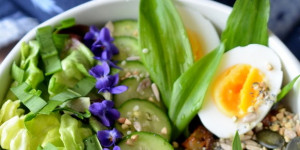 Beitragsbild des Blogbeitrags #wirrettenwaszurettenist: Bowls - Alles aus einer Schüssel
