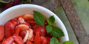 Beitragsbild des Blogbeitrags König Sommer