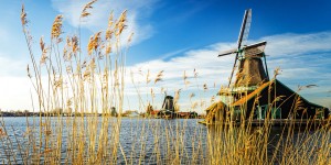 Beitragsbild des Blogbeitrags Das Windmühlendorf Zaanse Schans