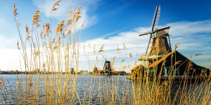 Beitragsbild des Blogbeitrags Das Windmühlendorf Zaanse Schans 