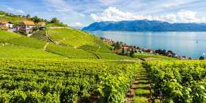 Beitragsbild des Blogbeitrags Lavaux: Weinwandern am Genfersee