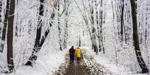 Beitragsbild des Blogbeitrags Wien: Der Stadtwanderweg 2 im Winter