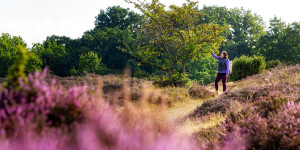 Beitragsbild des Blogbeitrags Nationalpark Stenshuvud: Wandern durch vier Welten