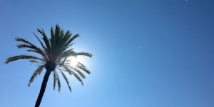 Beitragsbild des Blogbeitrags Nizza
