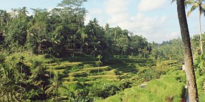 Beitragsbild des Blogbeitrags Bali – was du unbedingt vor deiner Reise wissen solltest