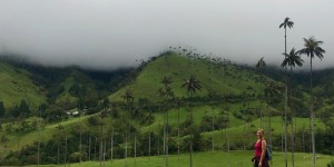 Beitragsbild des Blogbeitrags Salento: Colombias Coffee Region & the World’s Highest Palm Trees 