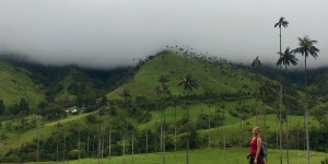 Beitragsbild des Blogbeitrags Salento: Colombias Coffee Region & the World’s Highest Palm Trees