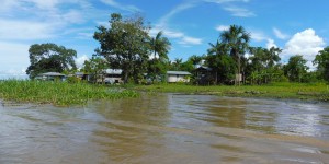 Beitragsbild des Blogbeitrags Welcome to the Jungle: The Amazonas, one of my biggest adventures
