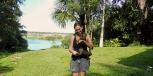 Beitragsbild des Blogbeitrags Meeting the monkeys of Alto del Aguila // Colombian Amazonas 