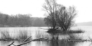 Beitragsbild des Blogbeitrags StromLand #8 