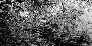 Beitragsbild des Blogbeitrags StromLand #9 
