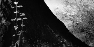 Beitragsbild des Blogbeitrags StromLand #11 