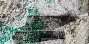 Beitragsbild des Blogbeitrags »Natur«