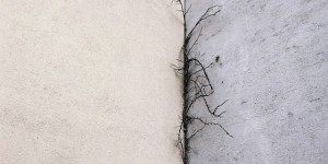 Beitragsbild des Blogbeitrags Fuge