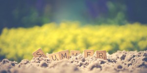 Beitragsbild des Blogbeitrags Sommer = Bewerbungszeit