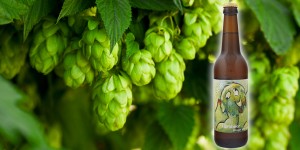 Beitragsbild des Blogbeitrags Ein toller Begleiter der Brettljause: Hornbeer Dryhop 