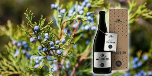 Beitragsbild des Blogbeitrags It’s Gin O’Clock! Waldbier 2016 Wacholder
