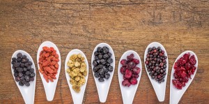 Beitragsbild des Blogbeitrags Chili, Aronia & essbare Blüten: Exotik vom Bauernhof im Theatermuseum