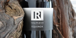 Beitragsbild des Blogbeitrags Cuvée EQUINOX – Weingut Reumann 