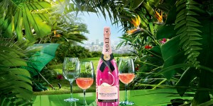 Beitragsbild des Blogbeitrags Moët Rosé Flamingo: Do you dare? 