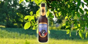 Beitragsbild des Blogbeitrags Thornbridge Bayern 