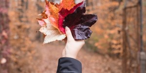 Beitragsbild des Blogbeitrags Beeindruckende Herbstfotos – Tipps und Tricks rund um den Herbst 