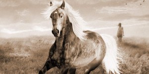 Beitragsbild des Blogbeitrags Sarah Lark: Dream – frei und ungezähmt 