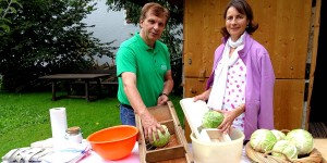 Beitragsbild des Blogbeitrags Kraut einschneiden beim Samplhaus in Bramberg