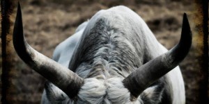 Beitragsbild des Blogbeitrags Donald Trump. Und. 