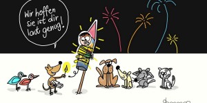 Beitragsbild des Blogbeitrags Die Silvesterknallerei 