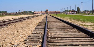 Beitragsbild des Blogbeitrags 75. Gedenktag zur Befreiung von Auschwitz – Birkenau 