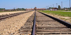Beitragsbild des Blogbeitrags 75. Gedenktag zur Befreiung von Auschwitz – Birkenau