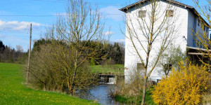 Beitragsbild des Blogbeitrags Mühle – Mahlwerk, Irrenanstalt und ausweglose Situation
