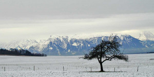 Beitragsbild des Blogbeitrags Schnee – Niederschlag, Kuchenzutat und Rauschgift 