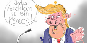 Beitragsbild des Blogbeitrags Trump. Das Finale