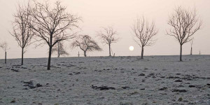 Beitragsbild des Blogbeitrags Januar – Der Monat des Gottes Ianus